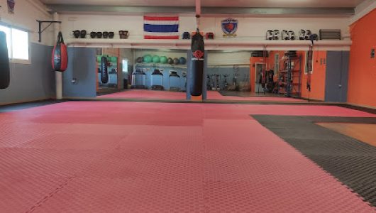 ▷ MUAY KHAO REUS (Karate)