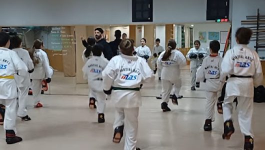 Escuela de Artes Marciales Phoenix Dojo (Taekwondo)