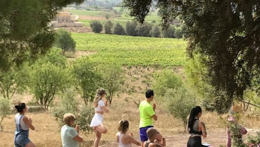 Ioga entre Vinyes Yoga (Yoga)