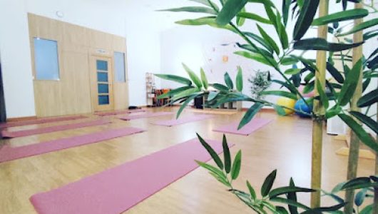 VINYASA Yoga (yoga)