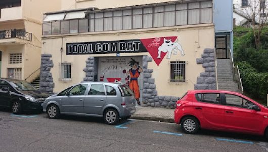 Total Combat Gym (Escuela de kickboxing)