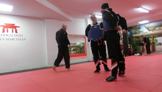 Budokai Dojo (Taekwondo)